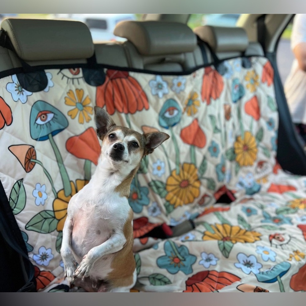 Dog Back Seat Car Cover Hammock